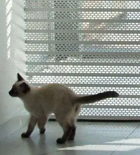 Защита от несанкционированного подъема Защита от несанкционированного подъема