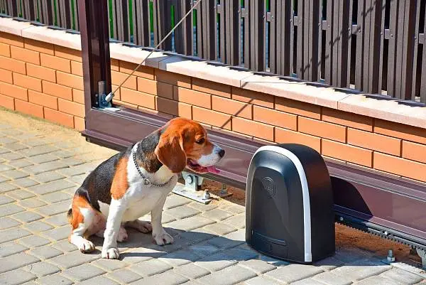 Зубчатая рейка ROA8 в подарок при заказе привода для откатных ворот Prestige с монтажом